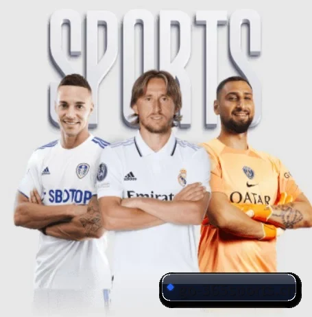 365体育五大内容板块,覆盖赛事直播与实时比分 | 365 SPORTS